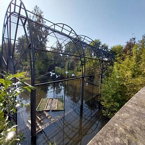 Zamocs Zoo - African Spoonbill aviary