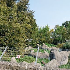 Zamocs Zoo - European Brown Bear enclosure