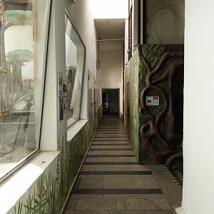 Zamocs Zoo - Monkey House