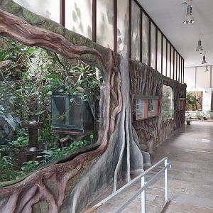 Zamocs Zoo - Monkey House