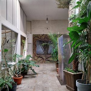 Zamocs Zoo - Monkey House