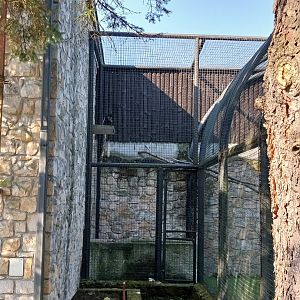 Zamocs Zoo - Monkey House - Mantled Colobus