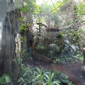Zamocs Zoo - Monkey House - Rainforest