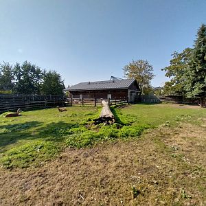 Zamocs Zoo - Monkey House - Kafue lechwe (Kobus leche kafuensis)