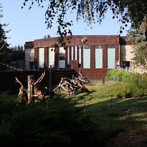 Zamocs Zoo - Monkey house - Ring-tailed Lemur enclosure