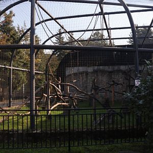 Zamocs Zoo - Monkey house - Lion-tailed Macaque enclosure