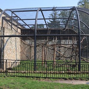 Zamocs Zoo - Monkey house - Brown Capuchin enclosure
