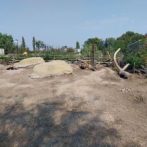 Zamocs Zoo - Warthog enclosure