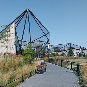 Zamocs Zoo - Steller's Sea Eagle aviary