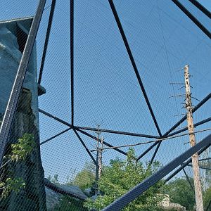 Zamocs Zoo - Steller's Sea Eagle aviary