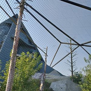 Zamocs Zoo - Steller's Sea Eagle aviary