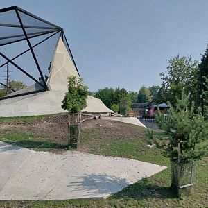 Zamocs Zoo - Bharal (Pseudois nayaur) enclosure