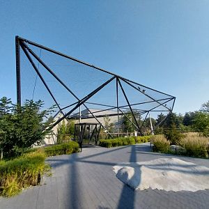 Zamocs Zoo - Blue Crane (Grus paradisea) and Abdim's Stork (Ciconia abdimii) aviary