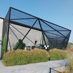 Zamocs Zoo - Birdhouse - Aviary 1