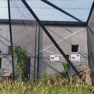 Zamocs Zoo - Birdhouse - Aviary 3