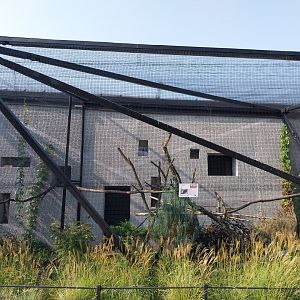 Zamocs Zoo - Birdhouse - Aviary 5 - Great Curassow aviary
