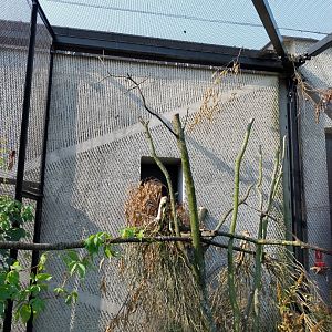 Zamocs Zoo - Birdhouse - Aviary 7 - Little Owl aviary