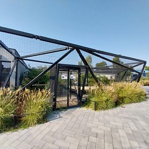 Zamocs Zoo - Birdhouse - Manchurian Crane aviary