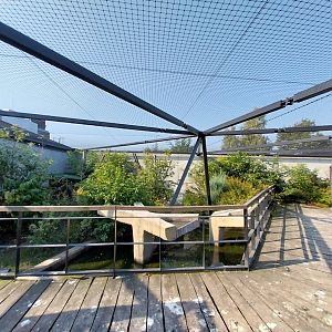 Zamocs Zoo - Birdhouse - Manchurian Crane aviary