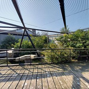 Zamocs Zoo - Birdhouse - Manchurian Crane aviary