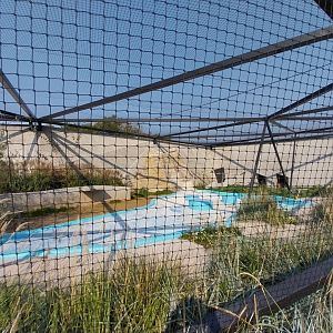 Zamocs Zoo - Birdhouse - Flamingo aviary