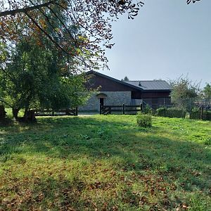Zamocs Zoo - Saharan Dorcas Gazelle enclosure