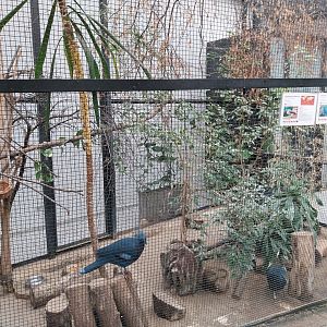 Zamocs Zoo - Birdhouse - Aviary