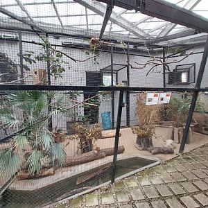 Zamocs Zoo - Birdhouse - Aviary