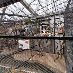 Zamocs Zoo - Birdhouse - Grey Parrot (Psittacus erithacus)