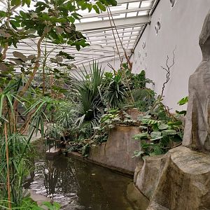 Zamocs Zoo - Birdhouse - Tropical Rainforest