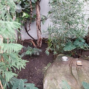 Zamocs Zoo - Birdhouse - Tropical Rainforest