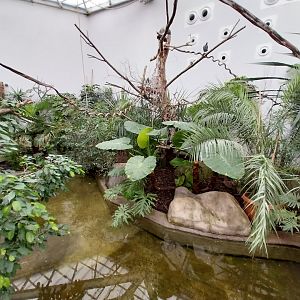 Zamocs Zoo - Birdhouse - Tropical Rainforest