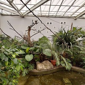 Zamocs Zoo - Birdhouse - Tropical Rainforest