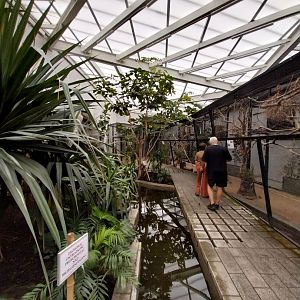 Zamocs Zoo - Birdhouse - Tropical Rainforest