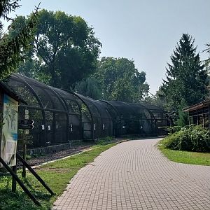 Zamocs Zoo - Pheasantry