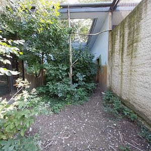 Zamocs Zoo - Pheasantry - Blue Crane aviary