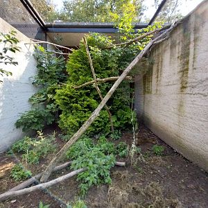 Zamocs Zoo - Pheasantry - Red Junglefowl aviary