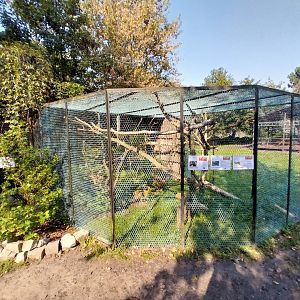 Zamocs Zoo - Pheasantry - Amazon Parrot aviary