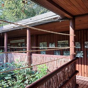 Zamocs Zoo - Pheasantry - Grey Crowned Crane (Balearica regulorum) aviary