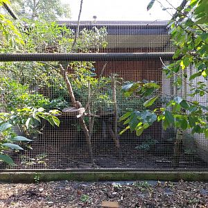 Zamocs Zoo - Pheasantry - Banded Mongoose enclosure