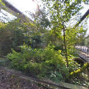 Zamocs Zoo - Small Mammals - Bat-eared Fox enclosure