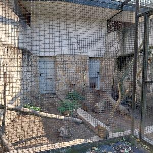 Zamocs Zoo - Pheasantry - Azara's Agouti enclosure