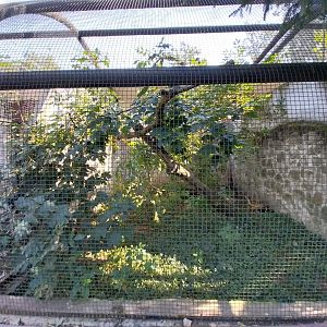 Zamocs Zoo - Pheasantry - Geoffroy's Cat enclosure