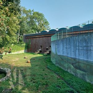 Zamocs Zoo - Cat House - Siberian Tiger enclosure
