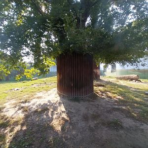 Zamocs Zoo - Cat House - Siberian Tiger enclosure