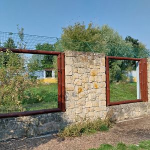 Zamocs Zoo - Cat House - Lion enclosure