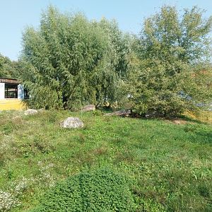 Zamocs Zoo - Cat House - Lion enclosure