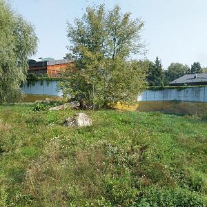 Zamocs Zoo - Cat House - Lion enclosure