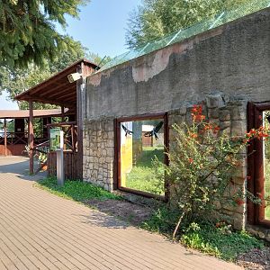 Zamocs Zoo - Cat House - Lion enclosure
