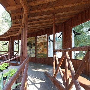 Zamocs Zoo - Cat House - Lion enclosure